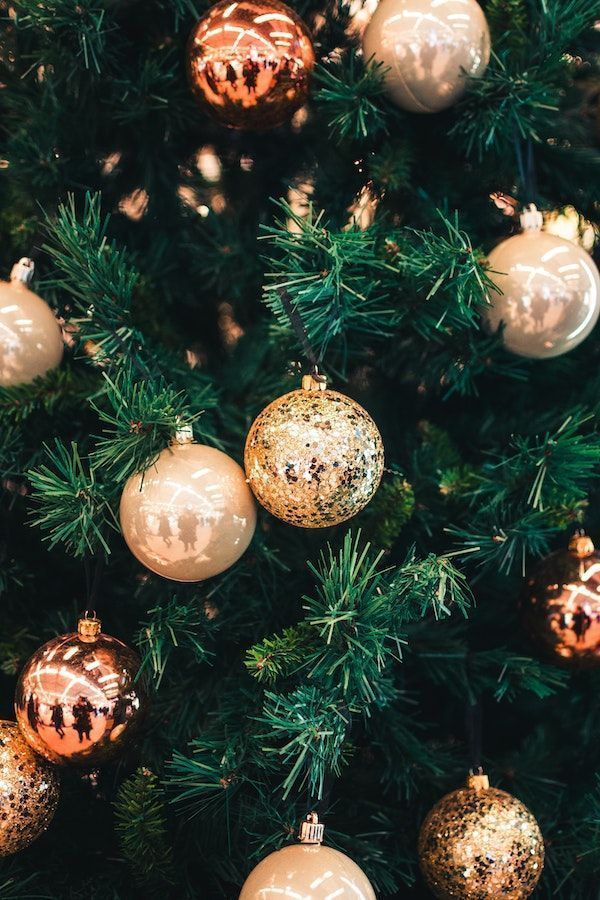 Árbol de navidad