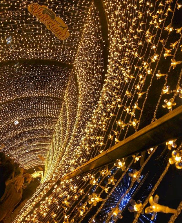 Planes de Navidad en Dresde