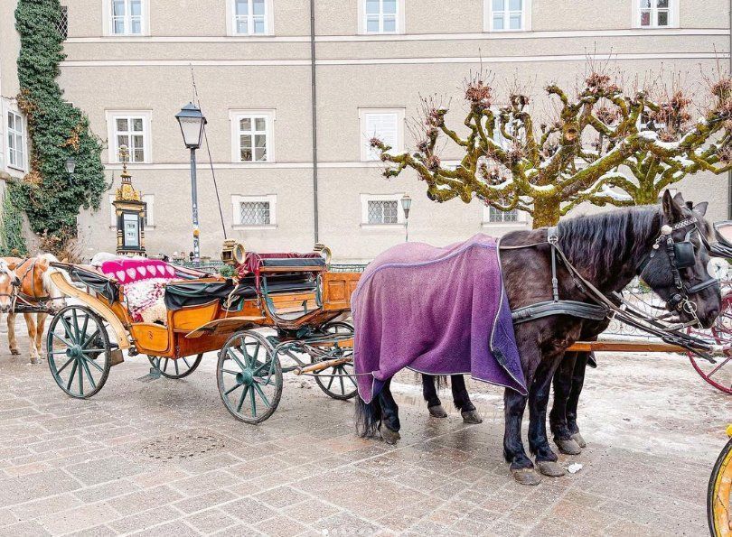 Paseo a caballo