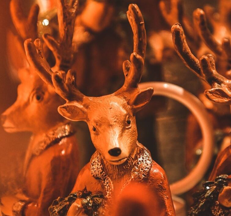 Dresde navideño